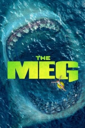 The20Meg.jpg